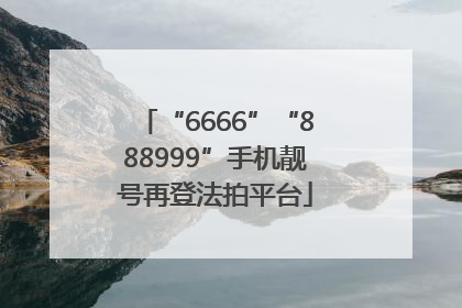 “6666”“888999”手机靓号再登法拍平台