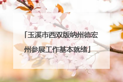 玉溪市西双版纳州德宏州参展工作基本就绪