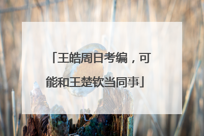 王皓周日考编，可能和王楚钦当同事