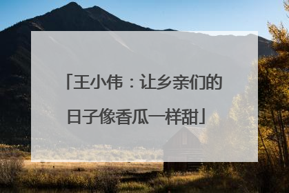 王小伟：让乡亲们的日子像香瓜一样甜