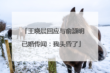 王晓晨回应与俞灏明已婚传闻：我头昏了