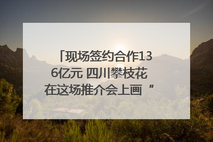 现场签约合作136亿元 四川攀枝花在这场推介会上画“图谱”列“清单”
