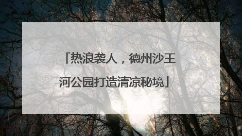 热浪袭人，德州沙王河公园打造清凉秘境
