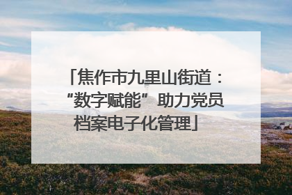 焦作市九里山街道：“数字赋能”助力党员档案电子化管理