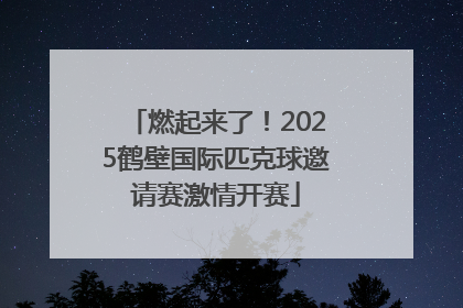 燃起来了！2025鹤壁国际匹克球邀请赛激情开赛