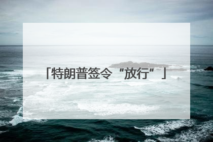 特朗普签令“放行”