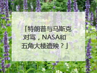 特朗普与马斯克对骂，NASA和五角大楼遭殃？