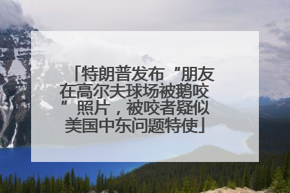 特朗普发布“朋友在高尔夫球场被鹅咬”照片，被咬者疑似美国中东问题特使