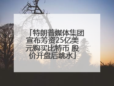 特朗普媒体集团宣布筹资25亿美元购买比特币 股价开盘后跳水