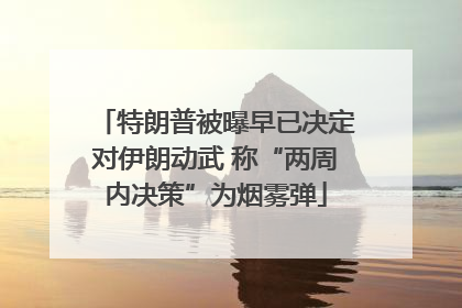 特朗普被曝早已决定对伊朗动武 称“两周内决策”为烟雾弹