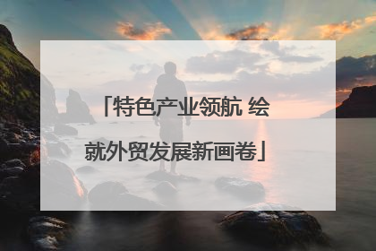 特色产业领航 绘就外贸发展新画卷