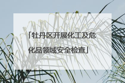 牡丹区开展化工及危化品领域安全检查