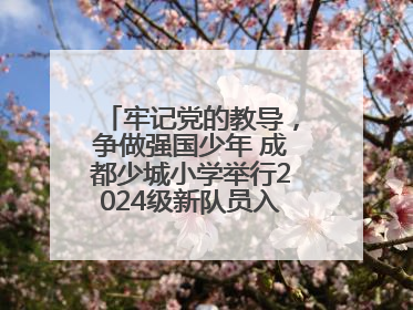 牢记党的教导，争做强国少年 成都少城小学举行2024级新队员入队仪式