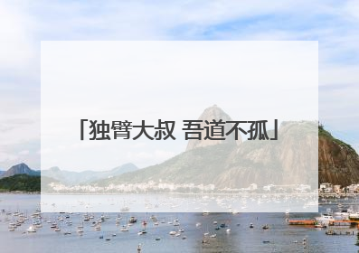 独臂大叔 吾道不孤