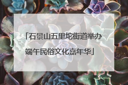 石景山五里坨街道举办端午民俗文化嘉年华