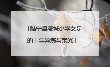 睢宁县凌城小学女足的十年淬炼与荣光