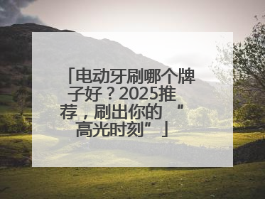 电动牙刷哪个牌子好？2025推荐，刷出你的 “高光时刻”