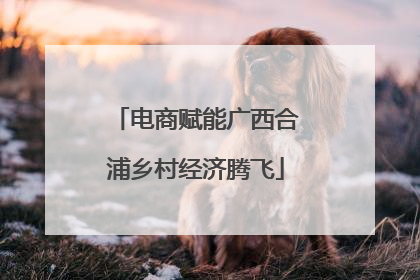 电商赋能广西合浦乡村经济腾飞