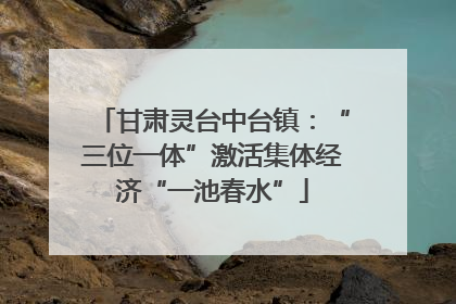 甘肃灵台中台镇：“三位一体”激活集体经济“一池春水”
