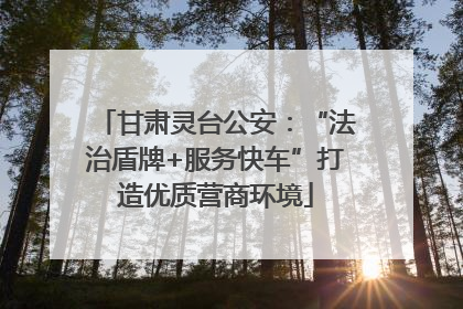 甘肃灵台公安：“法治盾牌+服务快车”打造优质营商环境