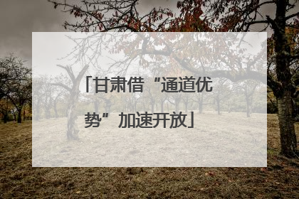 甘肃借“通道优势”加速开放