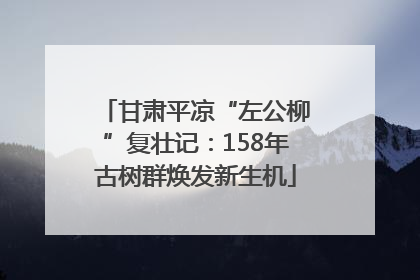 甘肃平凉“左公柳”复壮记：158年古树群焕发新生机