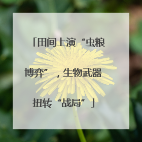 田间上演“虫粮博弈”，生物武器扭转“战局”