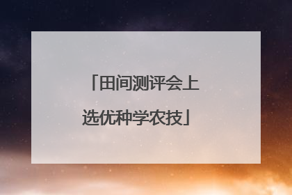 田间测评会上选优种学农技