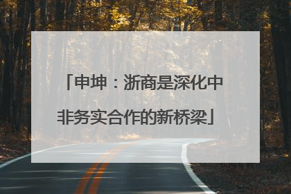 申坤：浙商是深化中非务实合作的新桥梁