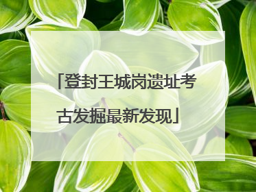 登封王城岗遗址考古发掘最新发现