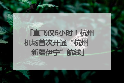 直飞仅6小时！杭州机场首次开通“杭州-新疆伊宁”航线