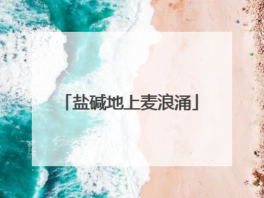 盐碱地上麦浪涌