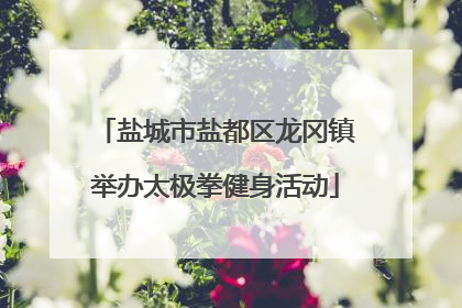 盐城市盐都区龙冈镇举办太极拳健身活动