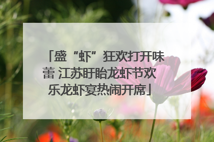 盛“虾”狂欢打开味蕾 江苏盱眙龙虾节欢乐龙虾宴热闹开席