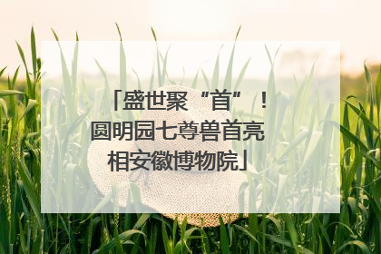 盛世聚“首”！圆明园七尊兽首亮相安徽博物院