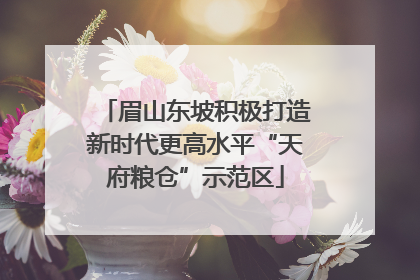 眉山东坡积极打造新时代更高水平“天府粮仓”示范区