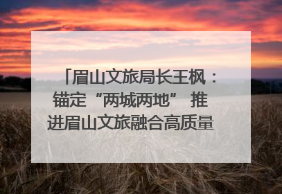 眉山文旅局长王枫：锚定“两城两地” 推进眉山文旅融合高质量发展｜文旅局长说