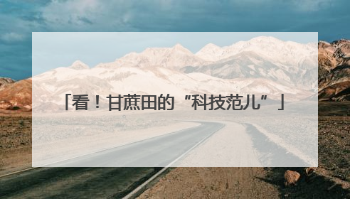 看！甘蔗田的“科技范儿”