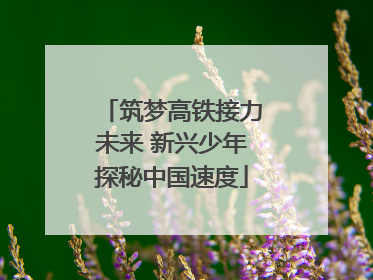 筑梦高铁接力未来 新兴少年探秘中国速度