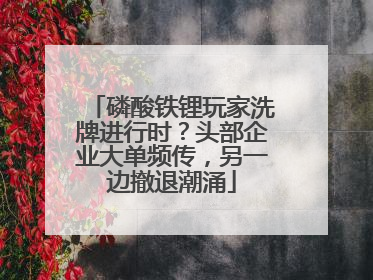 磷酸铁锂玩家洗牌进行时？头部企业大单频传，另一边撤退潮涌