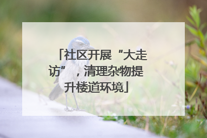社区开展“大走访”，清理杂物提升楼道环境