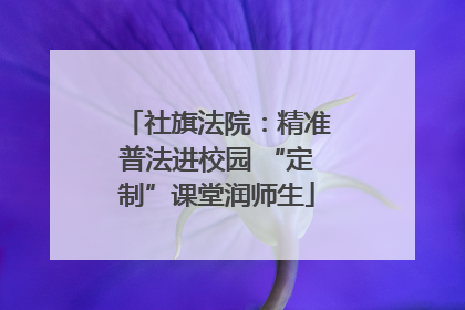社旗法院：精准普法进校园 “定制”课堂润师生