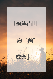 福建古田：点“菌”成金