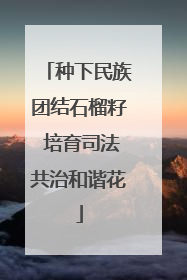 种下民族团结石榴籽 培育司法共治和谐花