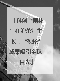 科创“雨林”在沪茁壮生长，“硬核”成果吸引全球目光