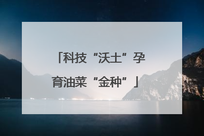 科技“沃土”孕育油菜“金种”
