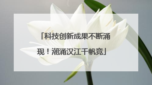 科技创新成果不断涌现！潮涌汉江千帆竞
