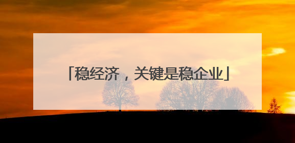 稳经济，关键是稳企业
