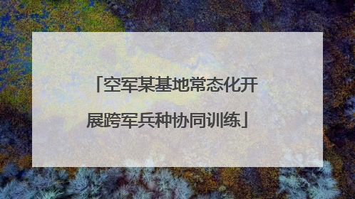 空军某基地常态化开展跨军兵种协同训练