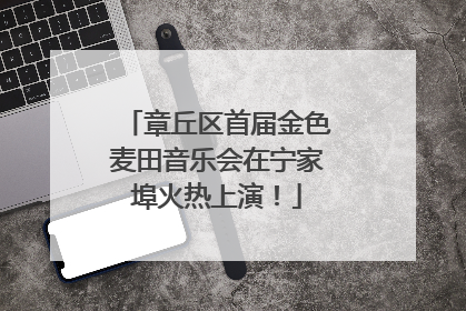 章丘区首届金色麦田音乐会在宁家埠火热上演！